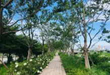 경기도, 건강한 도시숲 조성을 위해 도시숲 2,120개 측정하고 평가한다