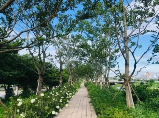 경기도, 건강한 도시숲 조성을 위해 도시숲 2,120개 측정하고 평가한다