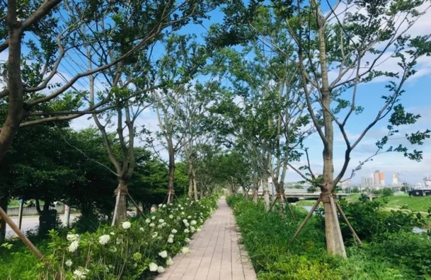 2024080615211212008_1 (1)