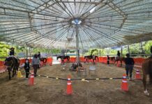 경기도, 초중고 학생 등 1만 5천명에게 승마체험 지원