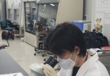 경기도, 4~10월 일본뇌염·뎅기열 매개모기 감시사업 추진