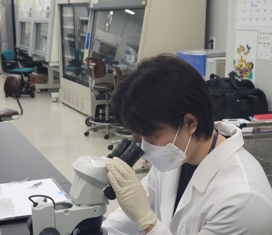경기도, 4~10월 일본뇌염·뎅기열 매개모기 감시사업 추진